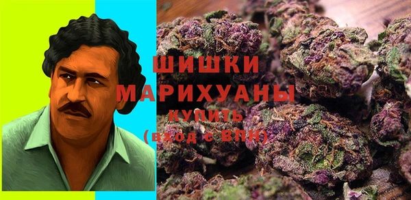 мет Бородино