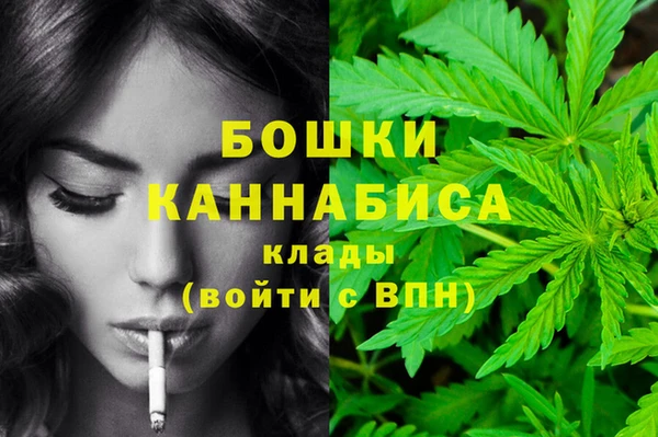 мет Бородино