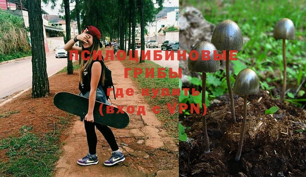 соль ск Бугульма