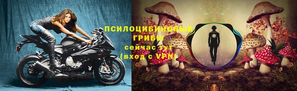 mdpv Бронницы