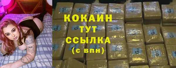 мет Бородино