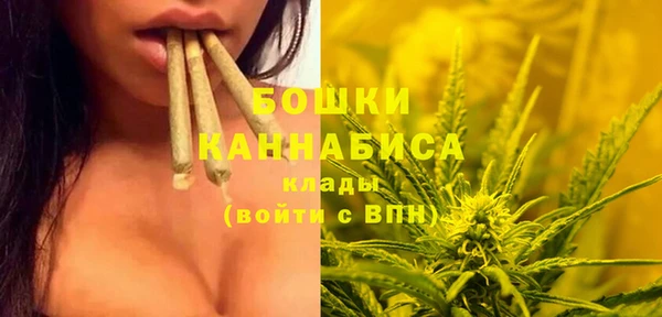mdpv Бронницы