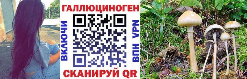 Купить  Малоархангельск  Галлюциногенные грибы GOLDEN TEACHER 